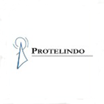 PT Profesional Telekomunikasi Indonesia